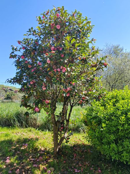 Foto 5c57fbdd-9128-41c2-9331-ad9805705e9a. Masia amb calefacció aparcament a Arrieta