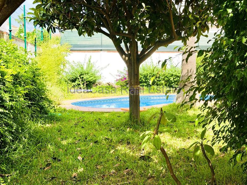 Foto cb5bd0c5-41d9-4cc2-9a15-1ff756b03bf6. Casa amb piscina a Cortijo de Maza - Finca Monsalvez - El Olivar Málaga