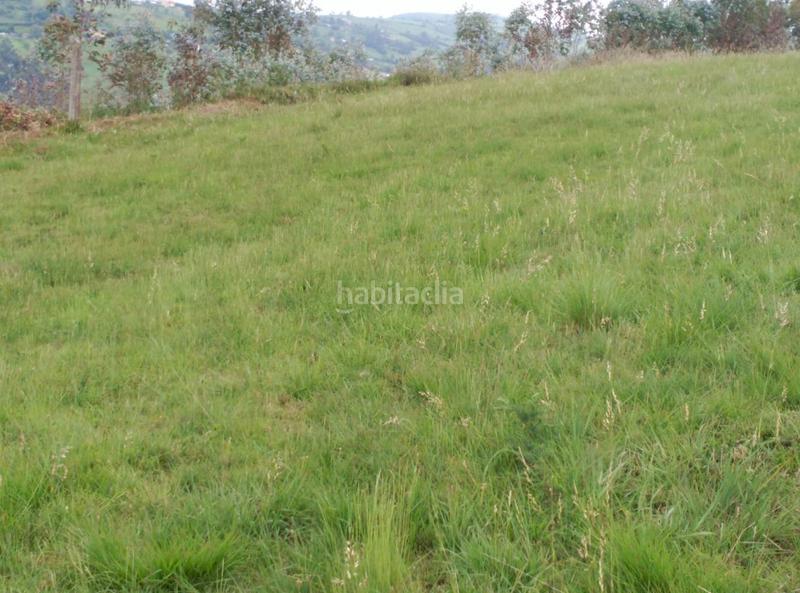 Foto b463da3f-451e-488c-ad9a-cabdc8f0178a. Terrain résidentiel dans La Pedrera Gijón