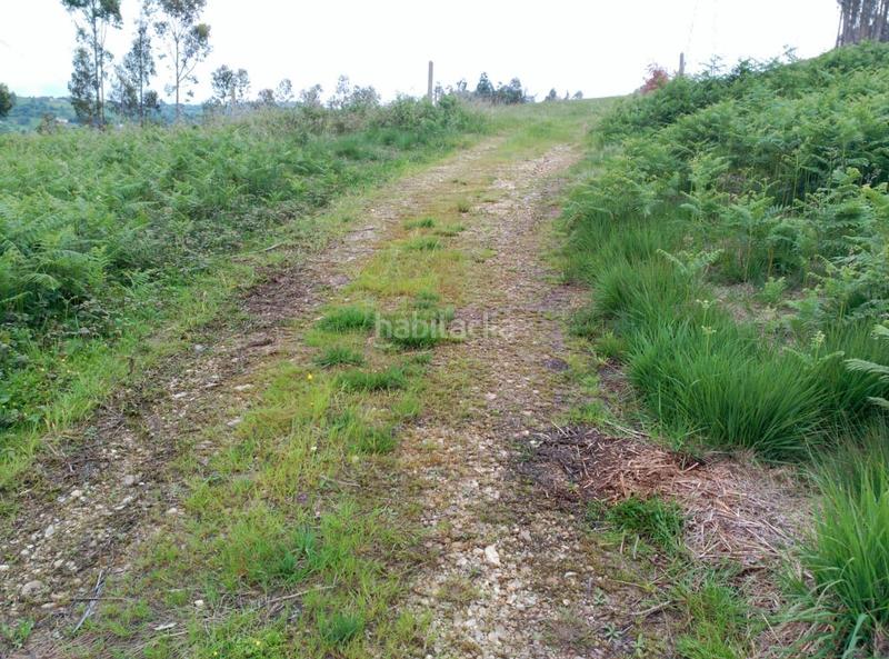 Foto c7c481f7-9a6c-4c22-9e30-74fa62040461. Terrain résidentiel dans La Pedrera Gijón