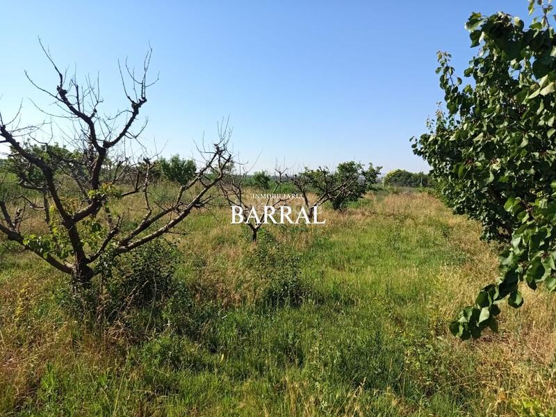 Foto 678320c5-d66a-468e-abb0-a6de12d3ac76. Wohngrundstück in Casco Histórico Tudela