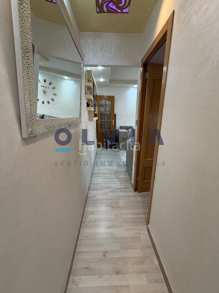 Foto 1667a592-bf83-424a-8a07-fda272073dc0. Pis a Can Palet Terrassa