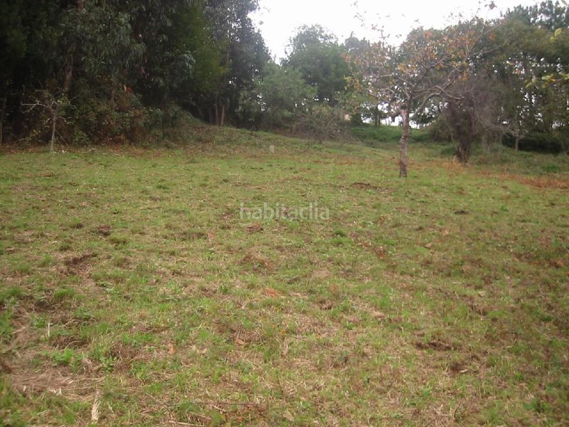 Foto 62af4693-b760-4363-8916-2908c578230d. Terreny residencial a Carreño