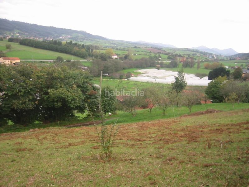 Foto a3ff9078-a134-48e4-96dc-1f12c231ee8c. Terreny residencial a Carreño