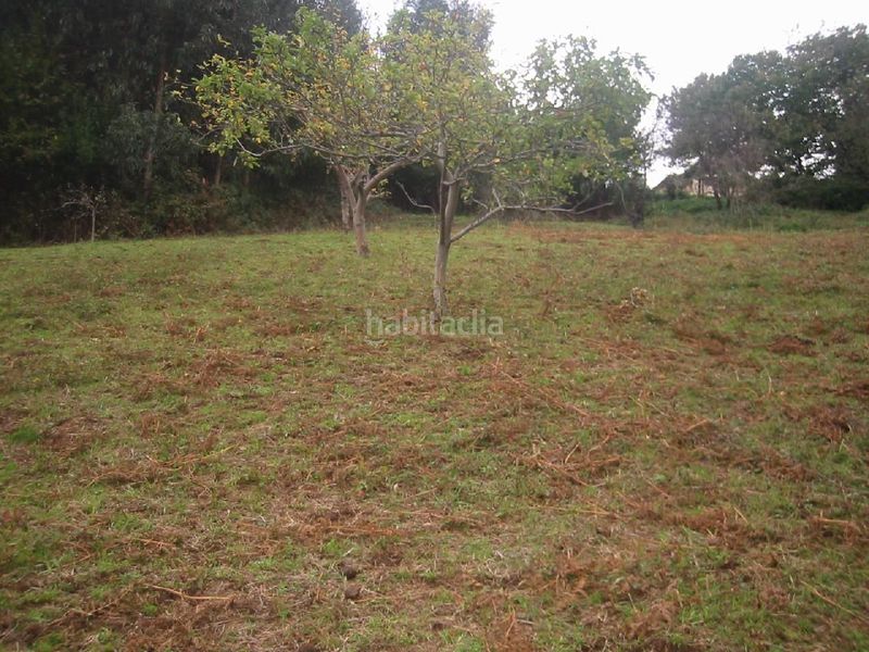 Foto b15aa980-c47a-4b39-ba44-03400440d324. Terreny residencial a Carreño