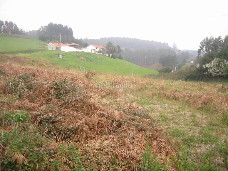 Foto 14a4d546-e139-4c3f-83f5-7384ee8c9dd1. Terreny residencial a Carreño