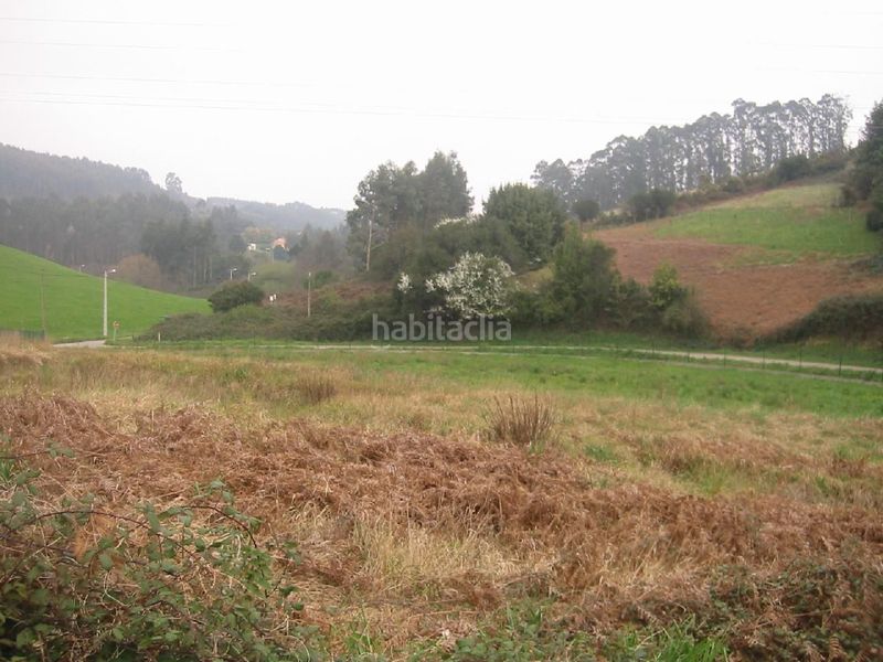 Foto 2171b4bd-36f2-4137-9c15-5947ed743a95. Terreny residencial a Carreño