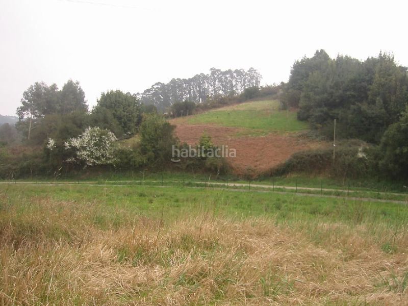 Foto 51e2c294-6b1f-41b2-ae24-afda25dc188a. Terreny residencial a Carreño