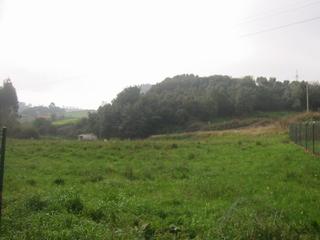 Wohngrundstück in Carreño. Finca edificable en campanal perlora llana en nucleo rural.