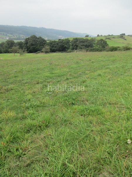 Foto b14ac513-53f9-407a-8833-b898474db1ed. Fondo rustico in Carreño