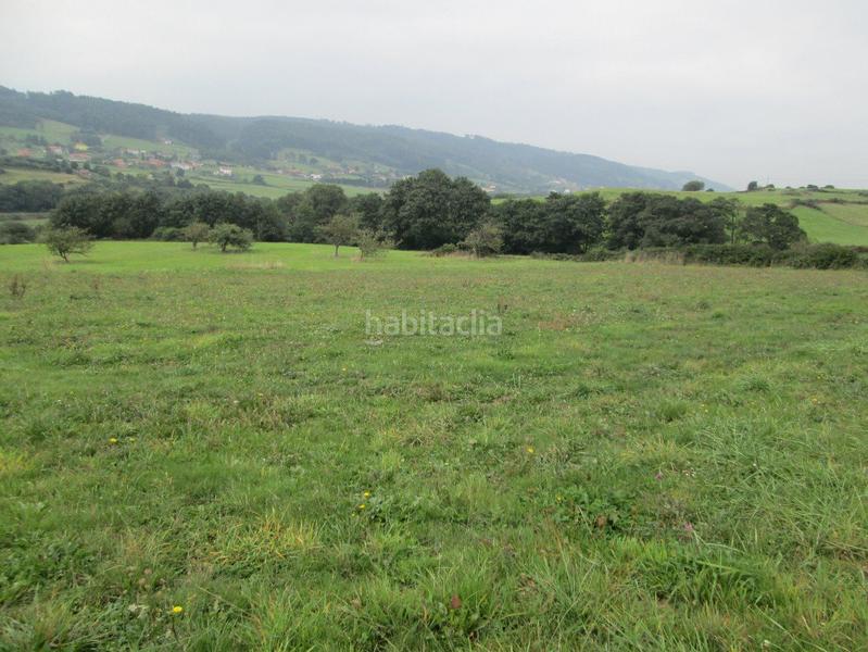 Foto b78dc11e-1c3a-4135-82e7-c880869bdc13. Fondo rustico in Carreño