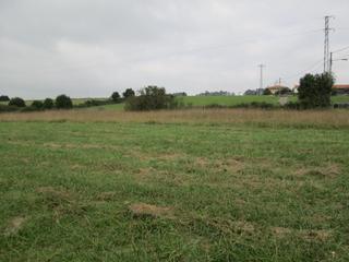 Landgut in Carreño. Finca de 2500 m2 no edificable