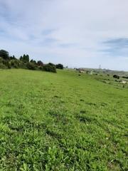 Terreny residencial a Verdicio-Bañugues-Cabo Peña. Finca edificable de 2.201 m2.