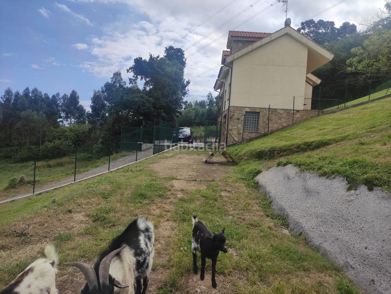 Foto 3a19a643-2df0-4cf4-99db-cce34c3a48f2. Terreny residencial a Carreño