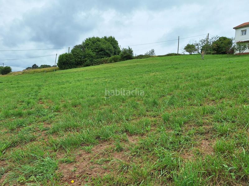 Foto 3ca38cba-3941-4233-bbba-fa96510686e5. Terreny residencial a Carreño