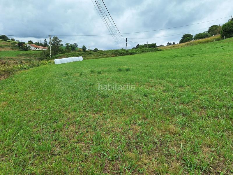 Foto 7784f598-46e2-4e55-a2a1-b8d3c1e4a700. Terreny residencial a Carreño