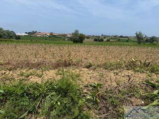 Terreny residencial  Espadanal. Ribamontán al marterreno