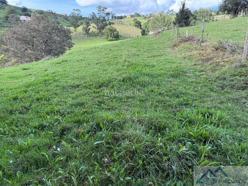 Foto 72bc4aa8-709b-44b9-9a28-43748d18d69f. Nave industrial en campos delante nave en Riotuerto