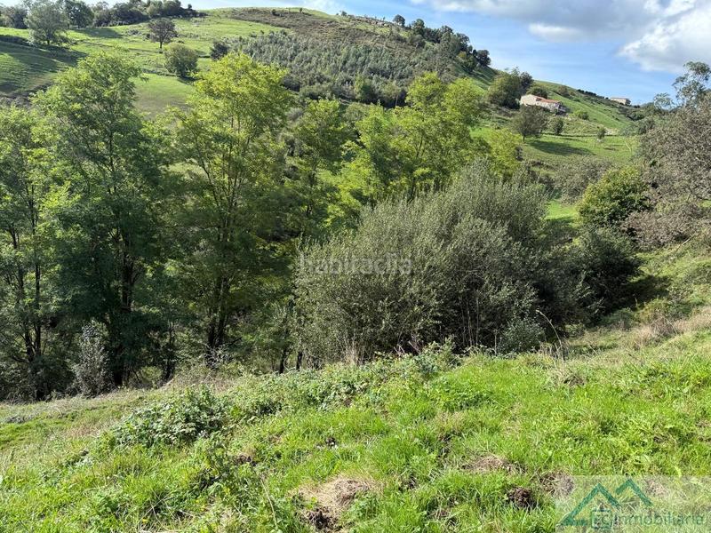 Foto dc2cdd47-60e4-4593-94b1-c6ec27d3bce5. Nave industrial en campos delante nave en Riotuerto