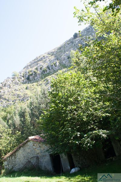 Foto 3dcd5ea2-b747-4bb8-8808-2844e7489d81. Masia a Liérganes