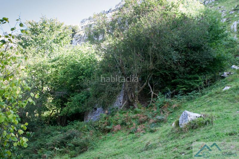 Foto d4310650-2bbc-42f2-8ad6-f759c14ad275. Masia a Liérganes