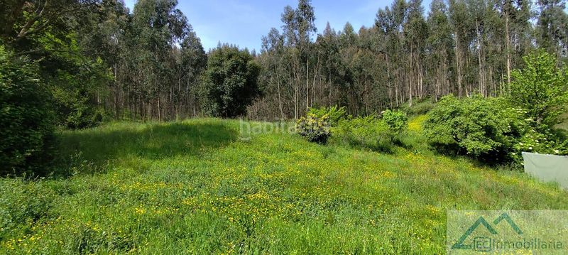 Foto 5f184571-3666-4e50-80d1-afdfba8e19b6. Casa amb piscina a Ribamontán al Monte