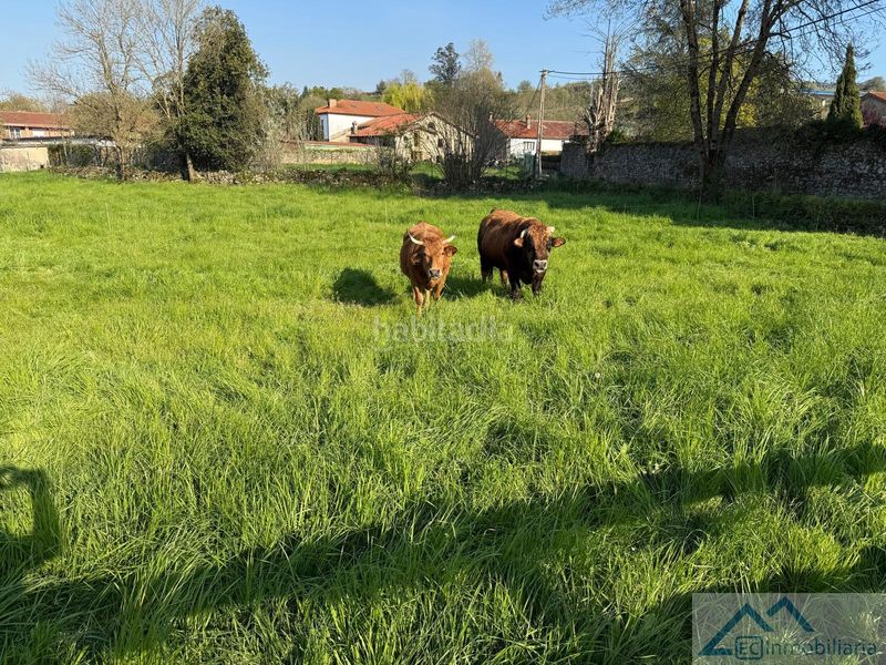 Foto cf27bc5d-c6b7-4948-9258-330616bdc07b. Terreny residencial a Liérganes