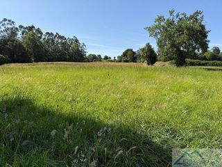 Residential Plot in Llastra. Entrambasaguasterreno