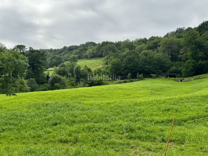 Foto e3cacd96-45e1-46c0-9866-46b45bfb9b95. Casa a campillo - campillo a Selaya