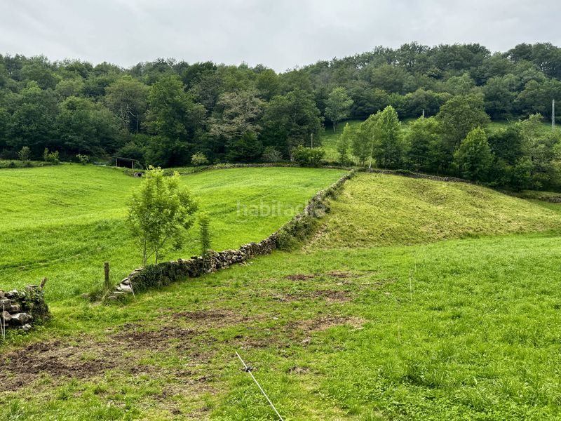 Foto fc735948-a06d-46a0-a93b-2029eda2e629. Casa a campillo - campillo a Selaya