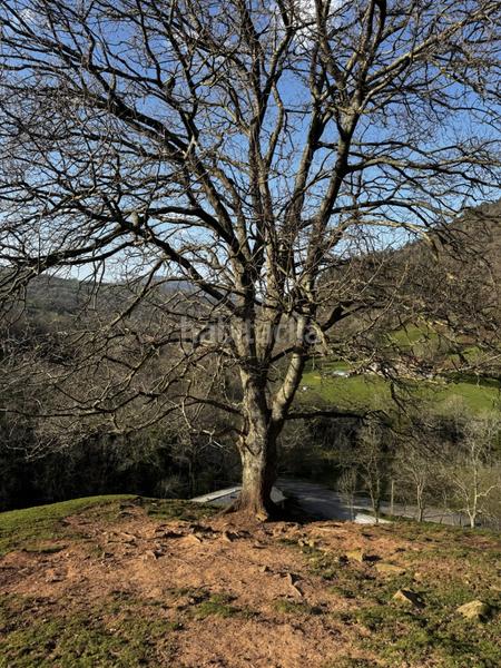 Foto 08c4c5ff-f167-4705-a8a3-bee650c5ee2a. Haus in Liérganes