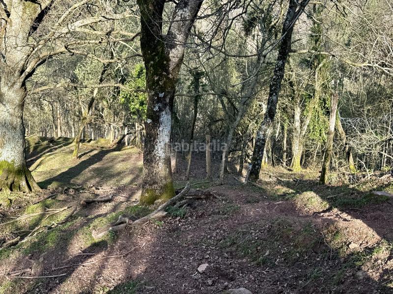 Foto 21f9f3f3-5830-4e94-8463-142881c62966. Haus in Liérganes