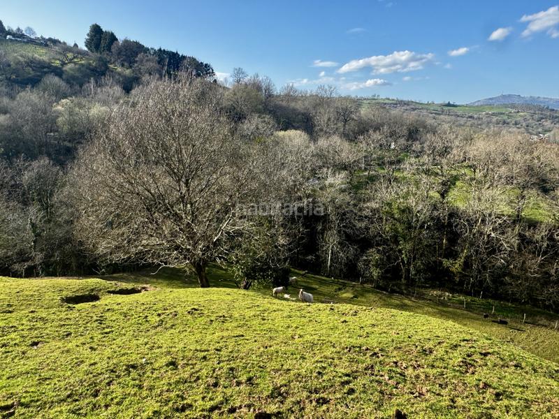 Foto 3f0225e2-112d-4baf-8cc6-7c7903b462b2. Haus in Liérganes