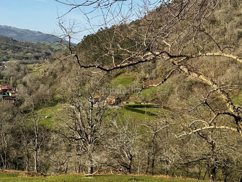 Foto 3f726769-2ddd-4c54-8759-0e974f1748f1. Haus in Liérganes