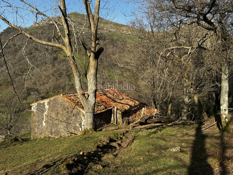 Foto 5968202d-614a-497d-878f-f6de45025f62. Haus in Liérganes