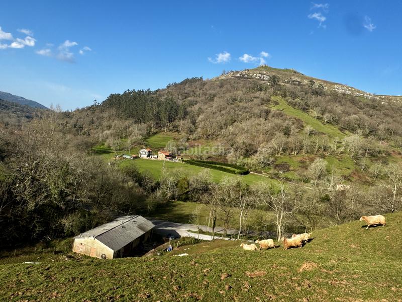 Foto 7e96a290-86bb-4bb5-a8d3-c9a56b9c1a61. Haus in Liérganes