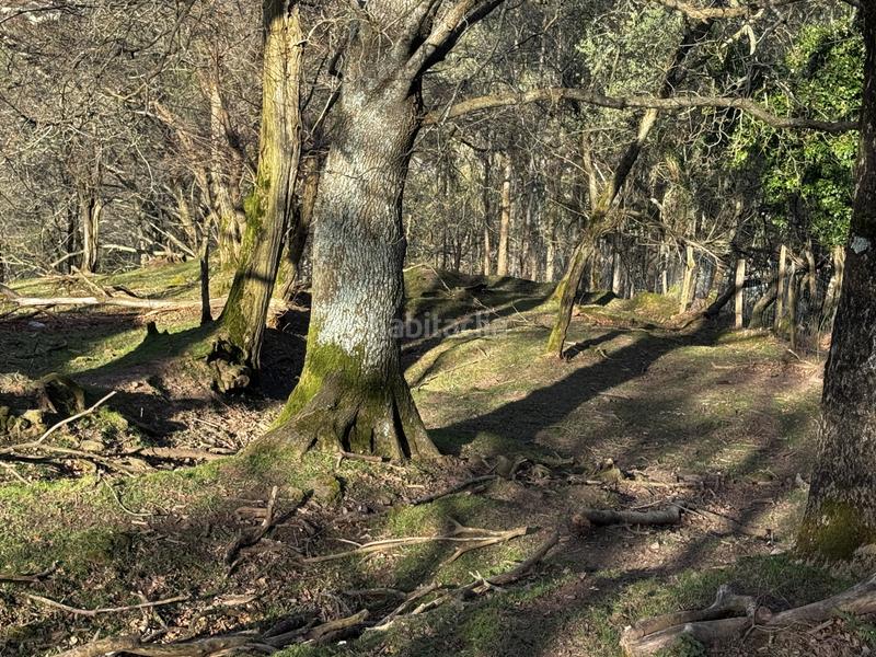 Foto 95eaa4d2-2854-488a-85c9-c086fb8e0570. Haus in Liérganes