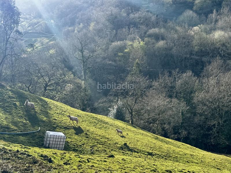 Foto 9a8a5a1d-d1bf-45e5-b7b4-7a6924e165db. Haus in Liérganes