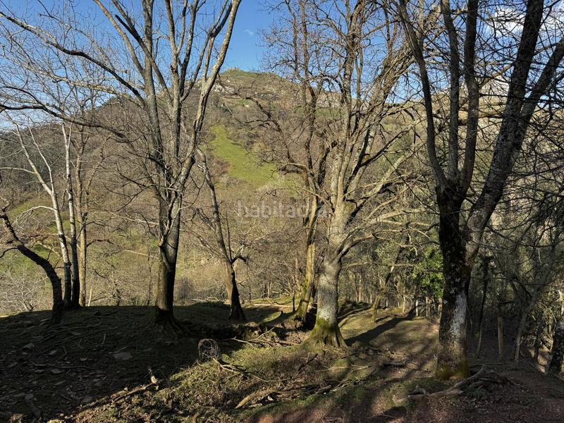 Foto a2be9702-c182-4e61-adce-f1f35eb2786d. Haus in Liérganes