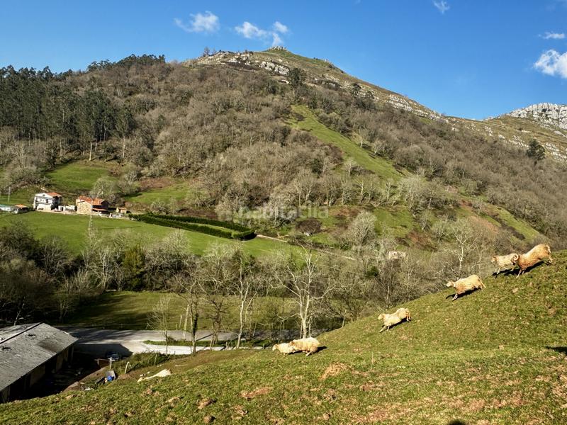 Foto abeaf426-03b1-4e22-ab25-037dda286b27. Haus in Liérganes