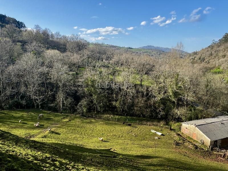 Foto e1178d66-9e0e-493e-9663-049fa7a9c92e. Haus in Liérganes