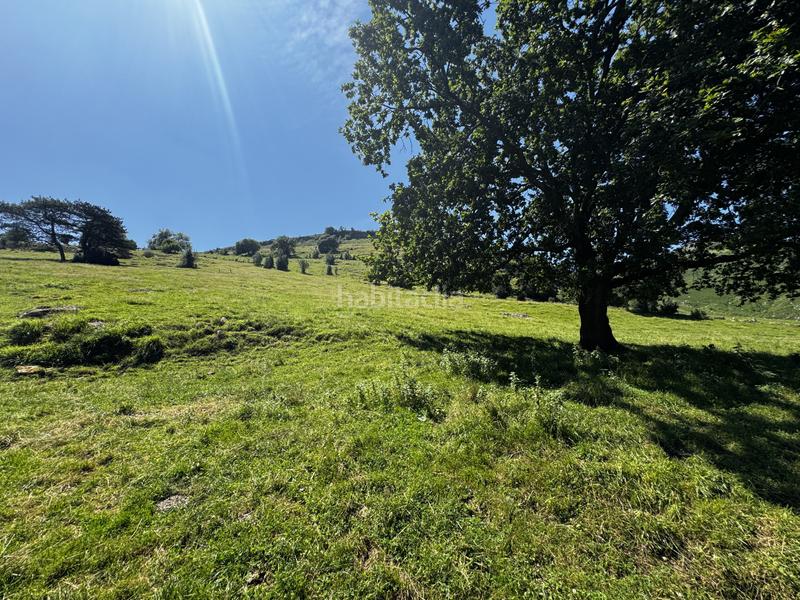 Foto 0b6f9d01-8125-4d8d-b913-393acff8c518. Haus in matienzo - bº la vega in Miera