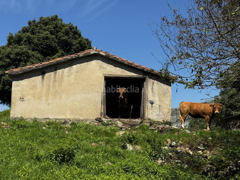 Foto 2101c7a6-c850-453f-b201-ed5455e1b2b9. Haus in matienzo - bº la vega in Miera