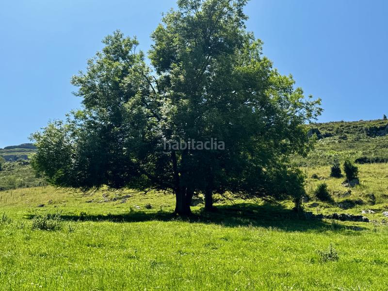 Foto 3c7b718c-bde1-4008-8a34-4b0d338d29a7. Haus in matienzo - bº la vega in Miera