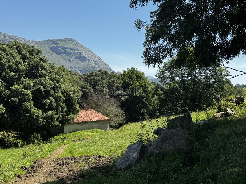 Foto 3f070652-d31b-4280-9ed3-94190d1a3088. Haus in matienzo - bº la vega in Miera