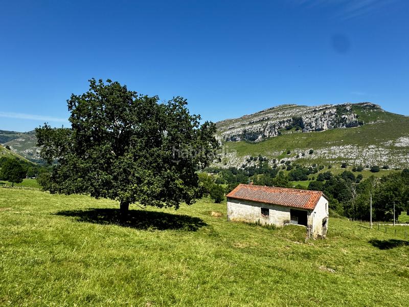 Foto 649c64bc-b545-4e34-b9ae-7ec08d873109. Haus in matienzo - bº la vega in Miera