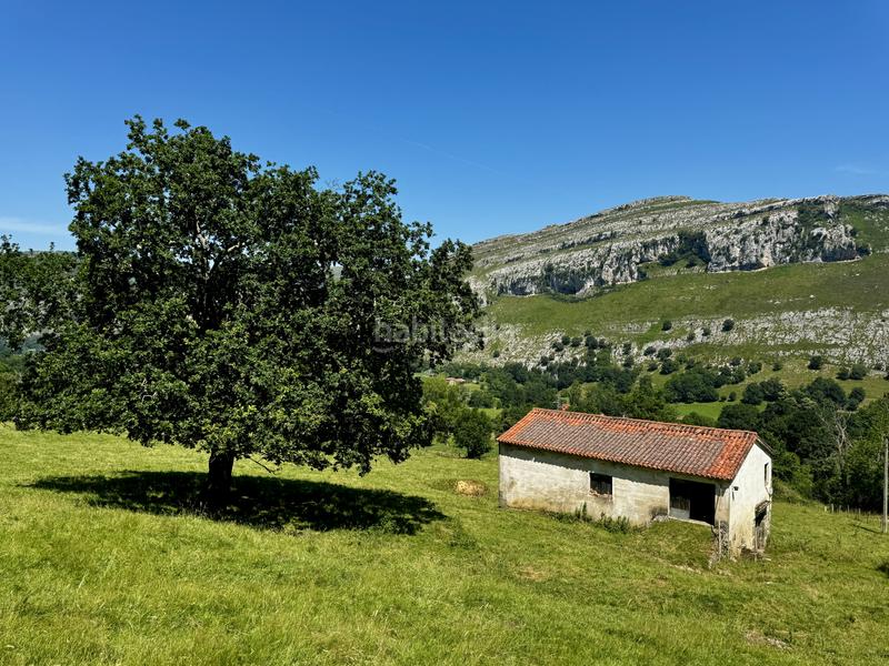 Foto 6d346f64-3e2f-478c-8c7b-6f758867ef01. Haus in matienzo - bº la vega in Miera