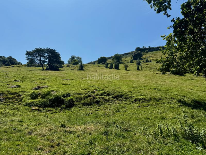 Foto 863d3c57-9395-4400-a95e-00727c9319a2. Haus in matienzo - bº la vega in Miera