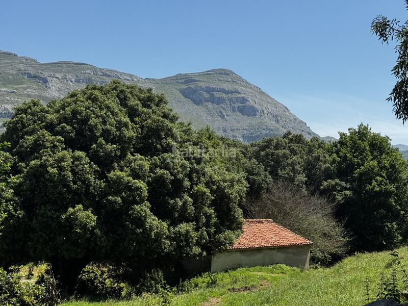 Foto c24d71c0-6028-4ad3-b7f2-47903ec66ed0. Haus in matienzo - bº la vega in Miera