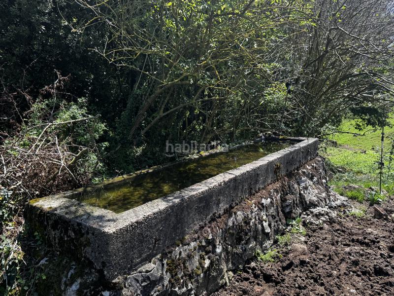 Foto cace5ee0-bad7-403c-85dd-5bb0801caa3d. Haus in matienzo - bº la vega in Miera